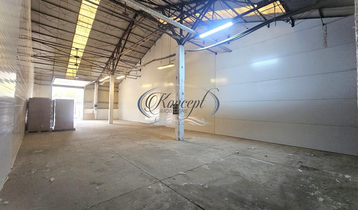 Hala de 200 mp, productie, depozitare, logistica