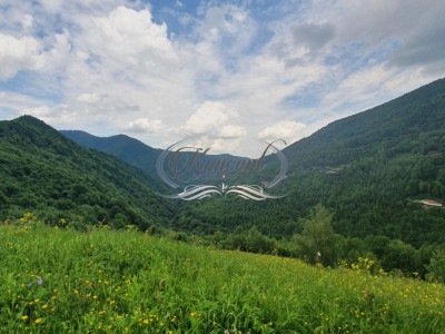 Teren intravilan in Somesul Rece