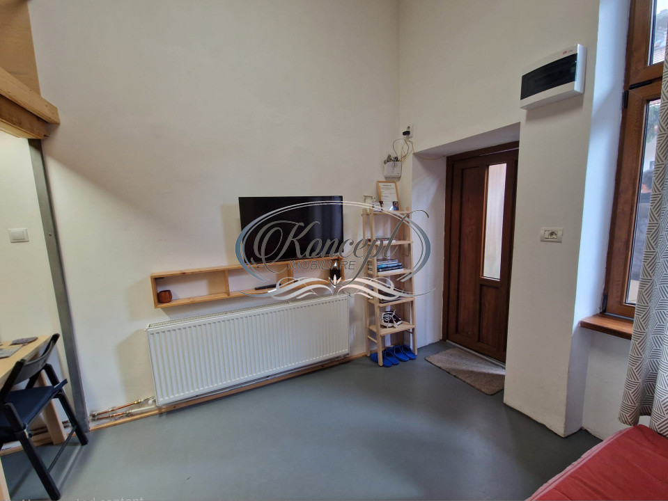 Centru, apartament cu 1 camera de vanzare, autorizat pentru regim hotelier