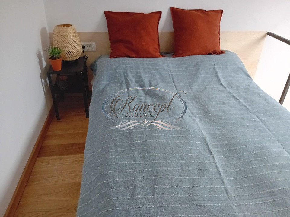 Centru, apartament cu 1 camera de vanzare, autorizat pentru regim hotelier