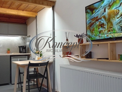 Centru, apartament cu 1 camera de vanzare, autorizat pentru regim hotelier
