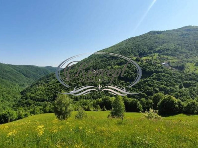Teren Intravilan cu panorama in Somesul Rece